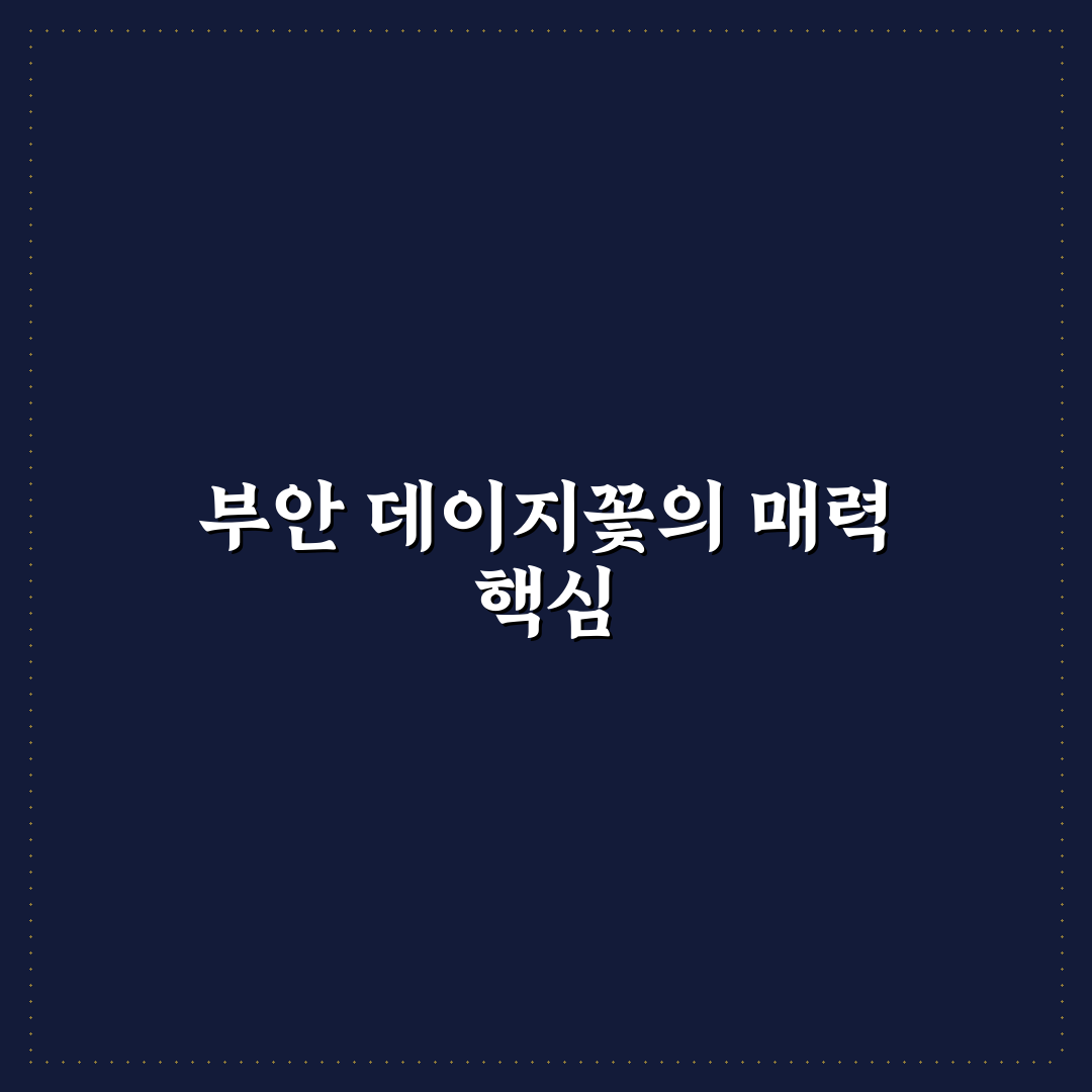 부안 데이지꽃 위치별 특징과 방문 체크포인트 총정리