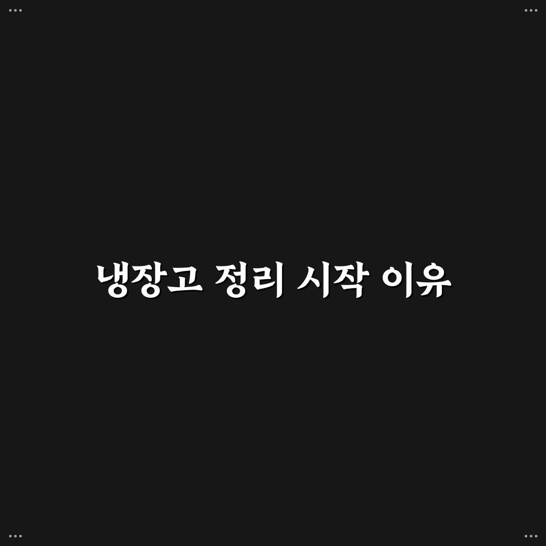 효율적인 냉장고 정리 정돈법 직접 써본 솔직후기