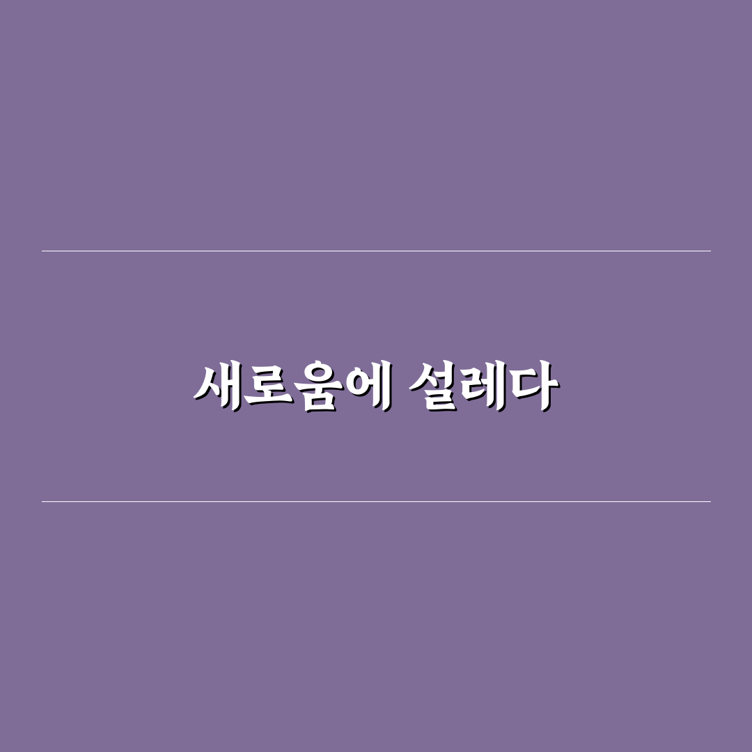 층간 소음 방지 매트 효과 비교 직접 써본 후기