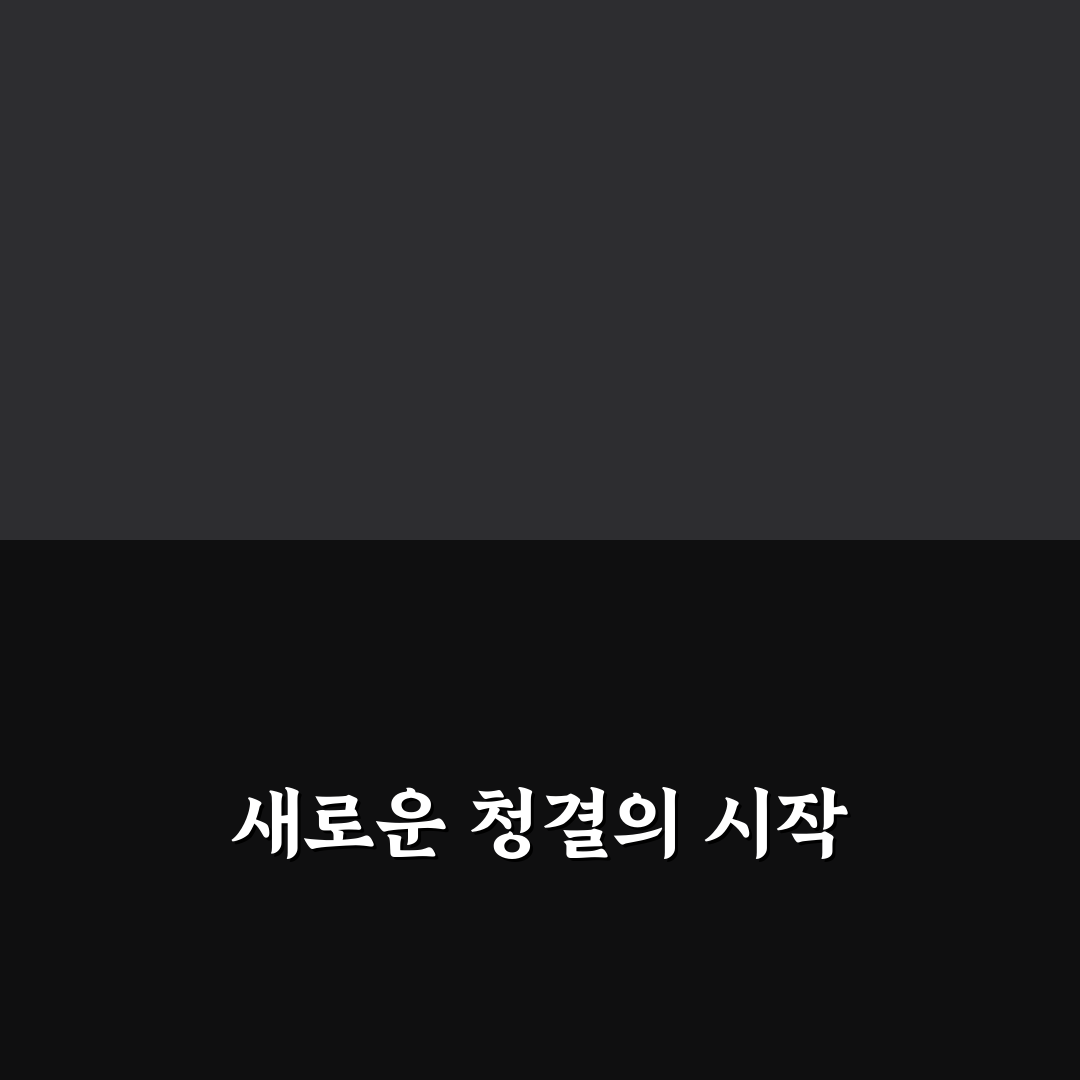 먼지 없는 집 만드는 청소법 직접 써본 후기와 팁