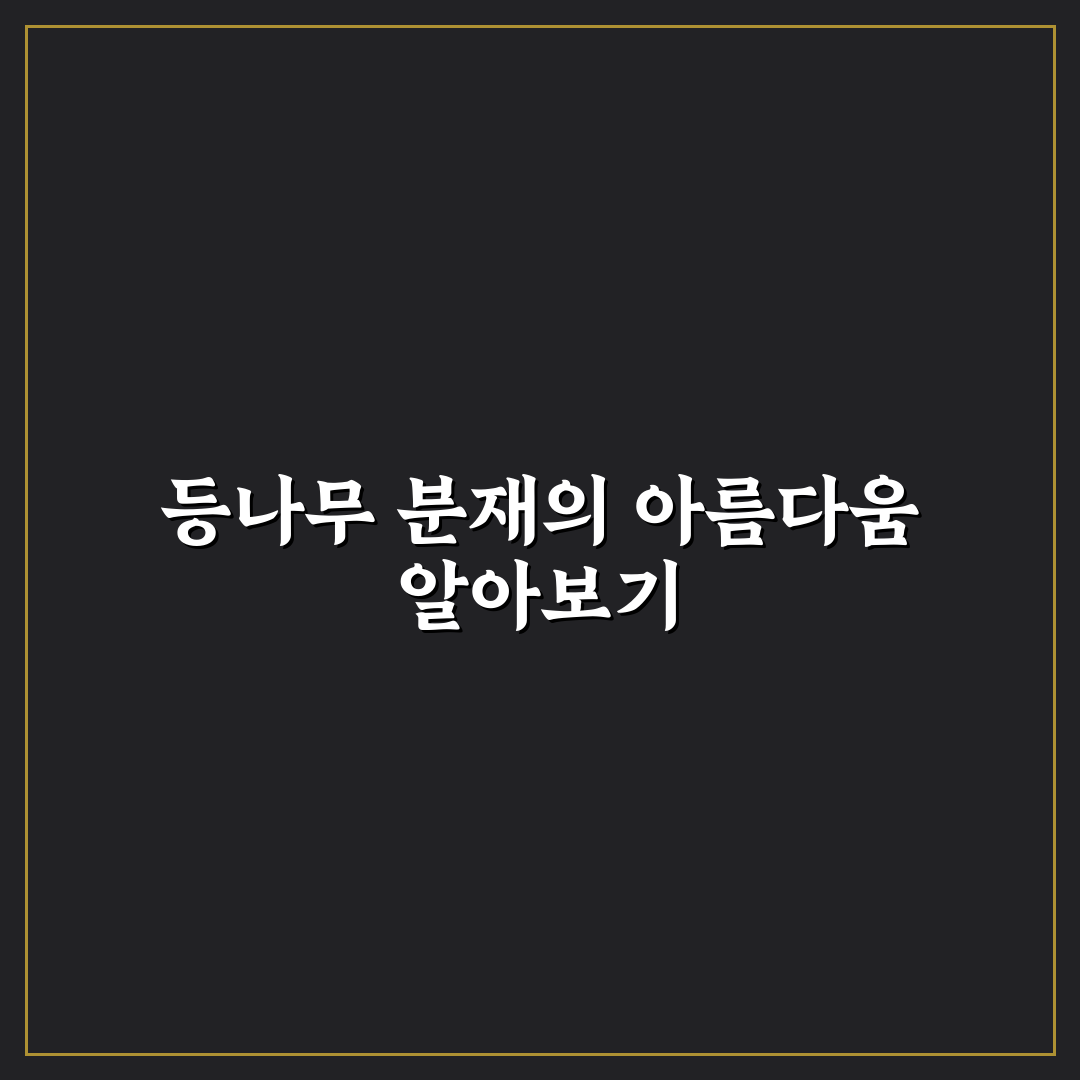 등나무 분재 만들기 가이드와 관리 체크포인트 총정리
