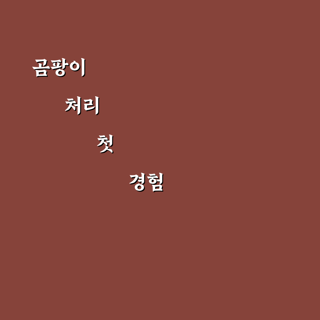 곰팡이 핀 음식 버릴 때 주의사항 직접 써본 후기