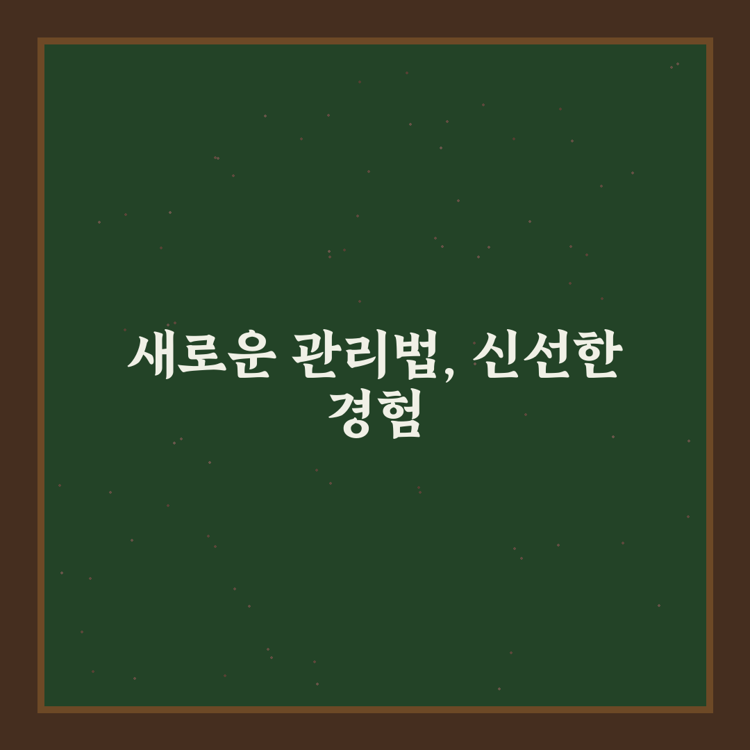 운동화 세탁 없이 관리하는 법 솔직후기와 실용 팁