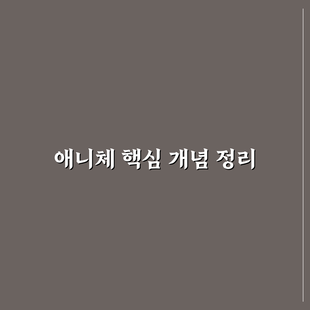 애니체 비교와 분석을 위한 5가지 체크포인트 총정리
