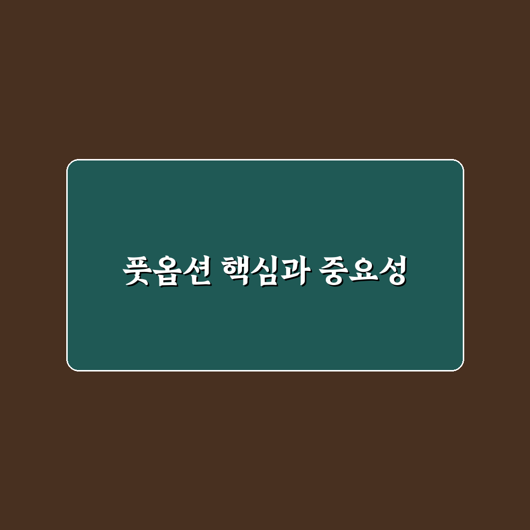 풋옵션 뜻과 활용 기준 5가지 분석 가이드