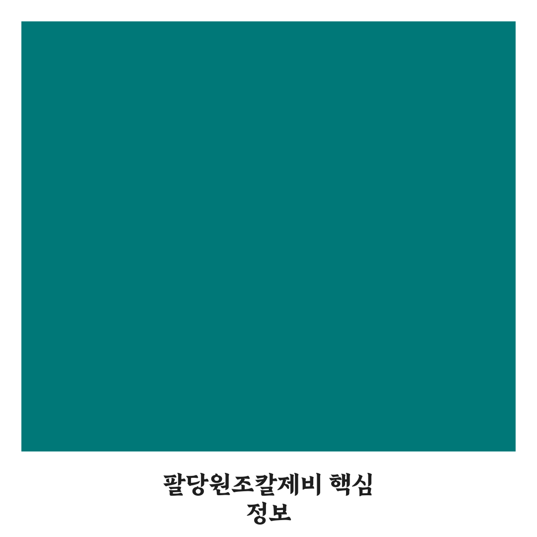 팔당원조칼제비 별내 맛집 5가지 비교와 선택 기준 분석