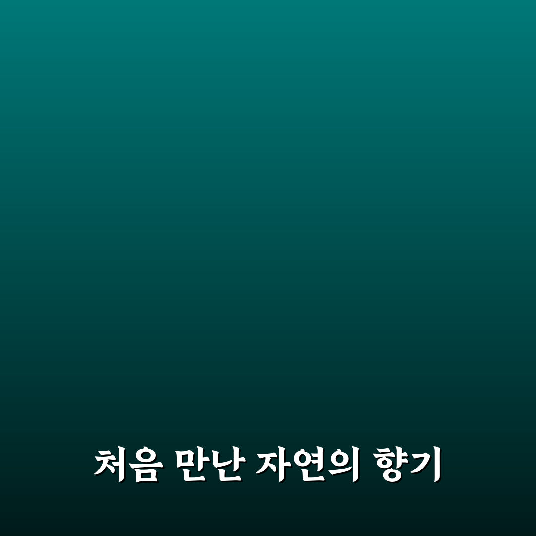 아로마 활용 실내 방향제 만들기 직접 써본 후기