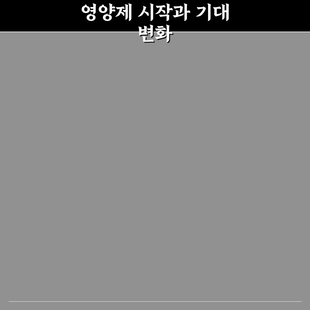 면역력 강화 영양제 비교 2026 솔직후기와 효과 분석