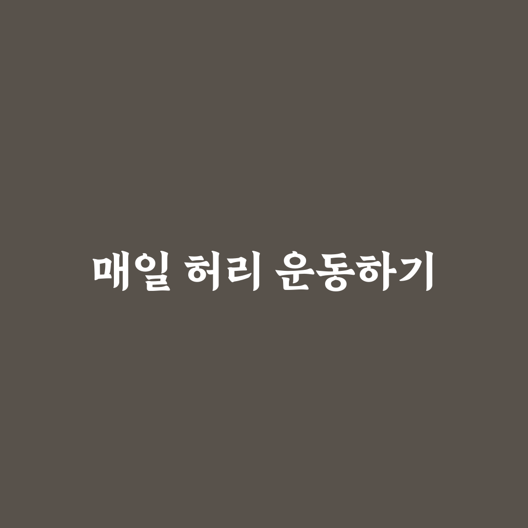만성 허리 통증 완화 스트레칭 직접 써본 후기