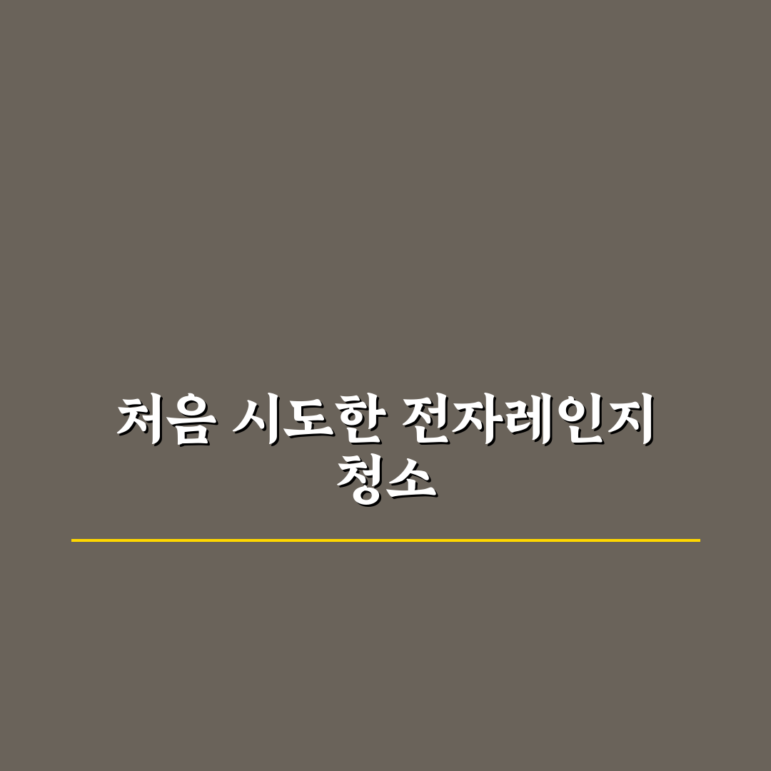 전자레인지 내부 냄새 제거 청소 직접 써본 후기