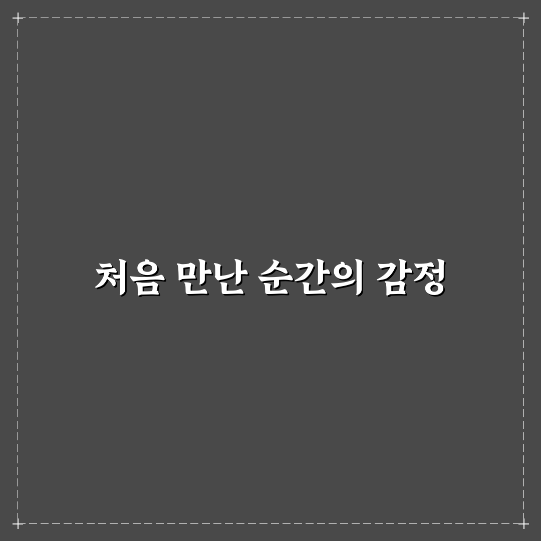 집중력 강화 훈련 프로그램 직접 써본 솔직한 사용후기