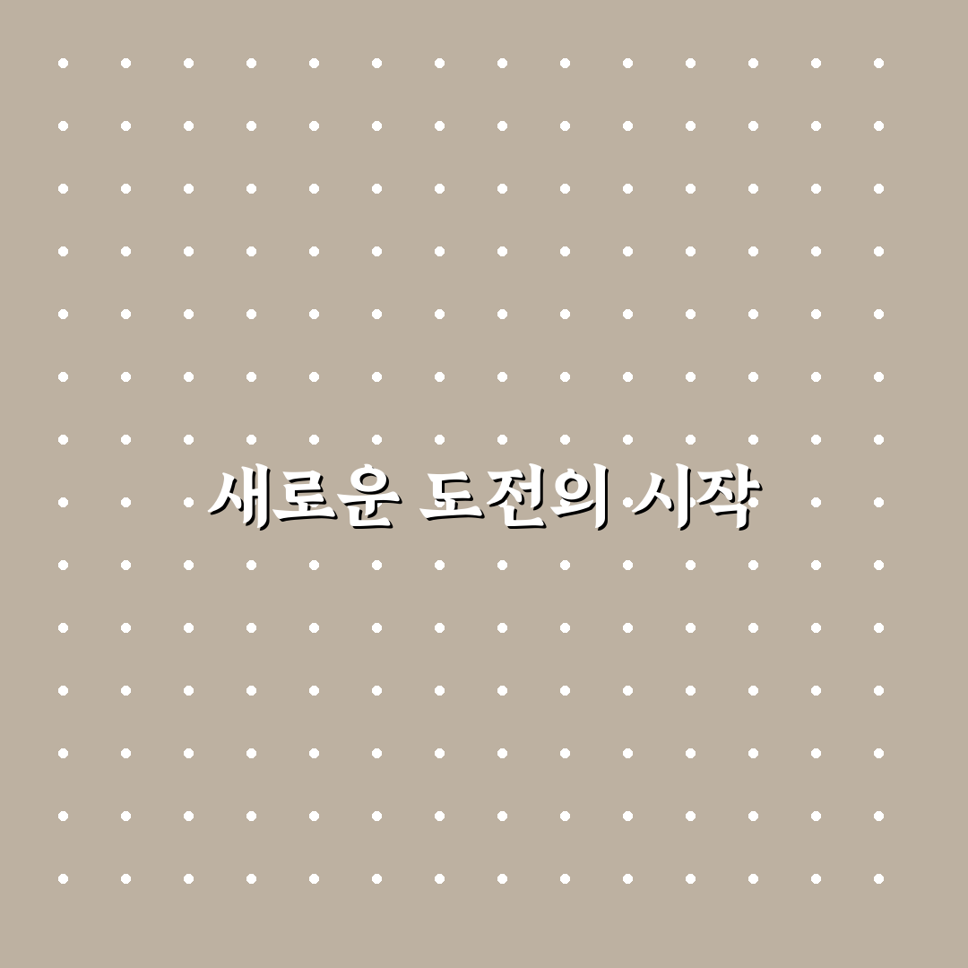 창문 결로 현상 방지 꿀팁 직접 써본 후기와 효과 분석