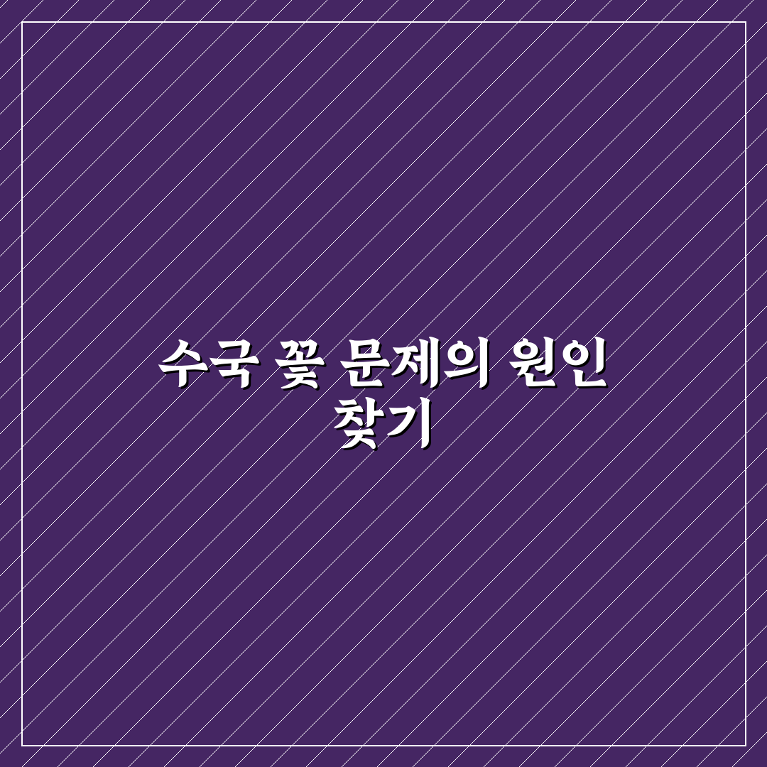 수국 꽃 안피는 이유 5가지 체크포인트 총정리