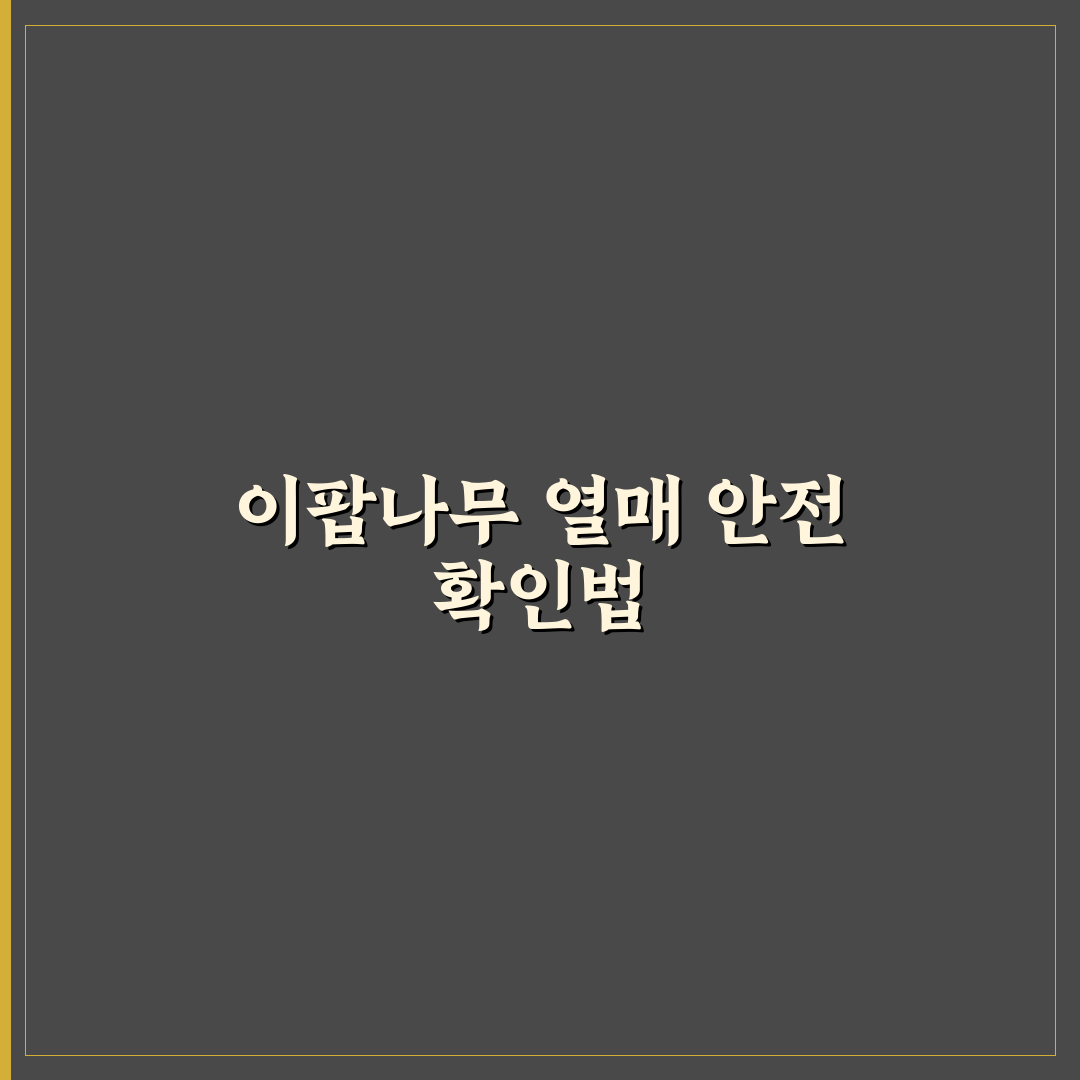 이팝나무 열매 식용 안전성 비교와 활용 가이드