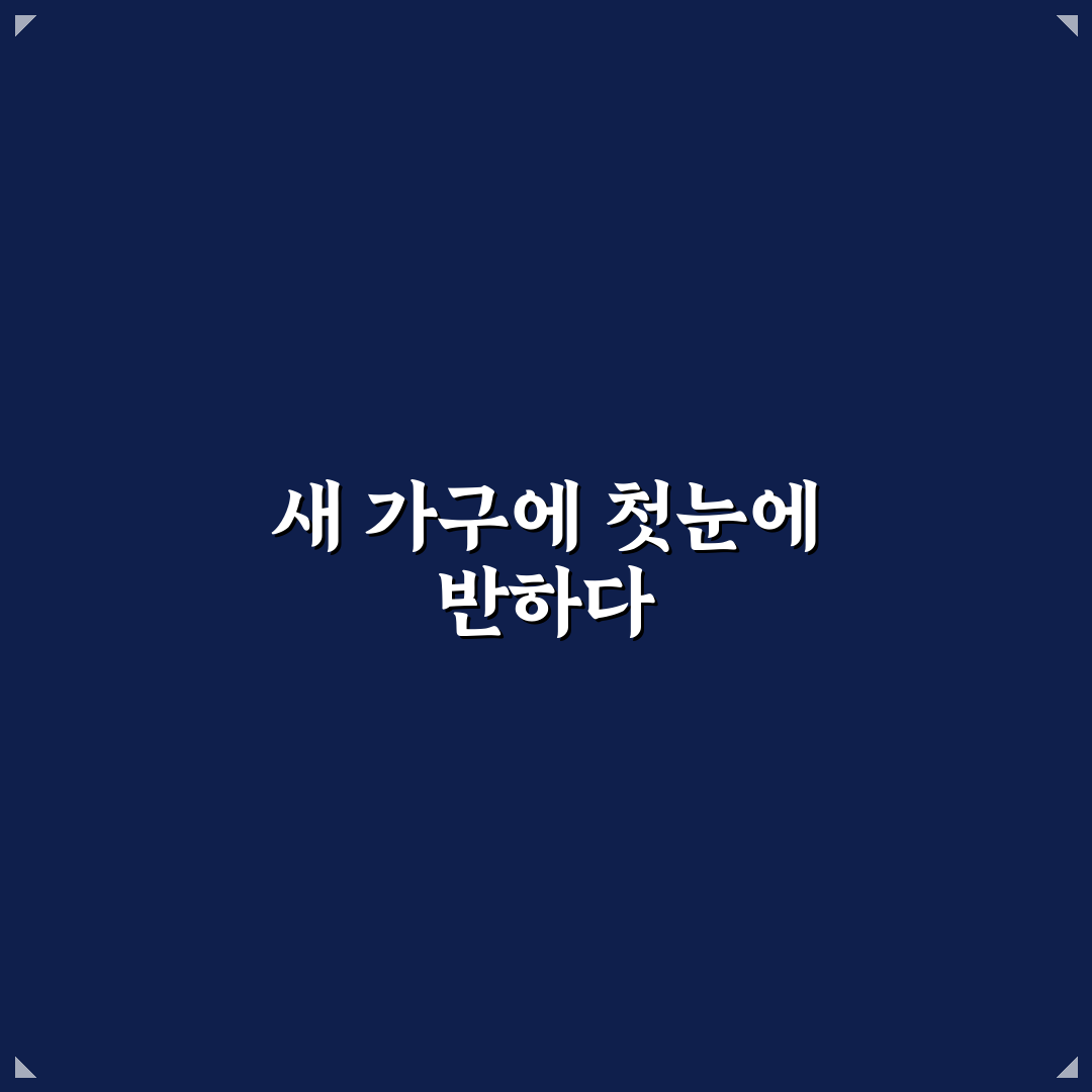 새 가구 냄새 제거하는 노하우 직접 써본 솔직후기