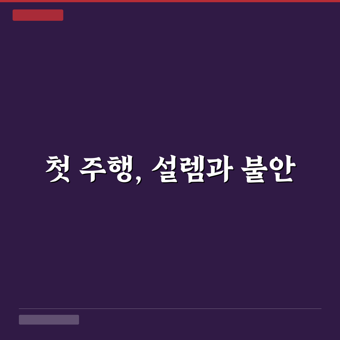 전동 킥보드 고장 안전 수칙 직접 써본 후기로 알아보기