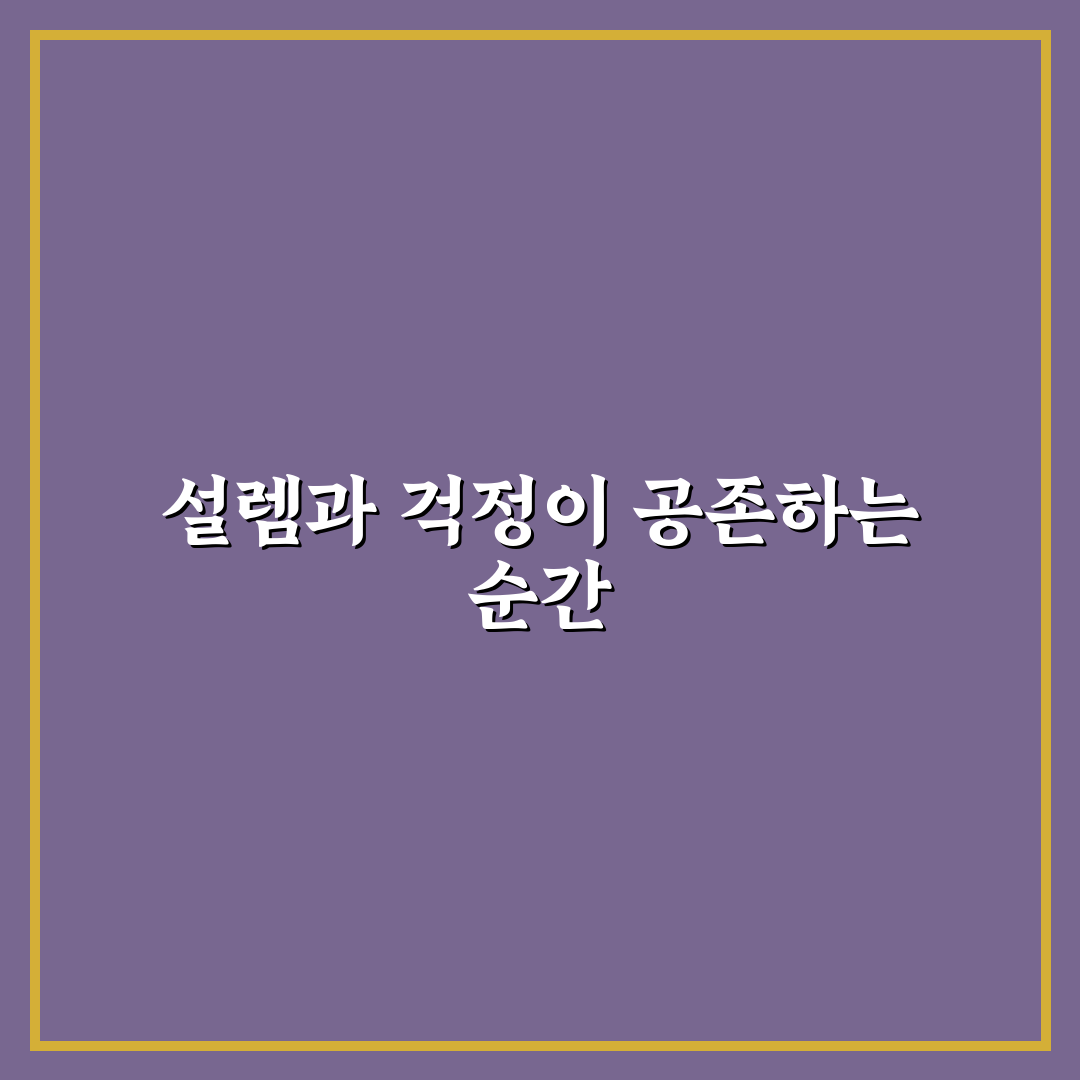 반려동물과 안전하게 외출하는 법 직접 써본 후기