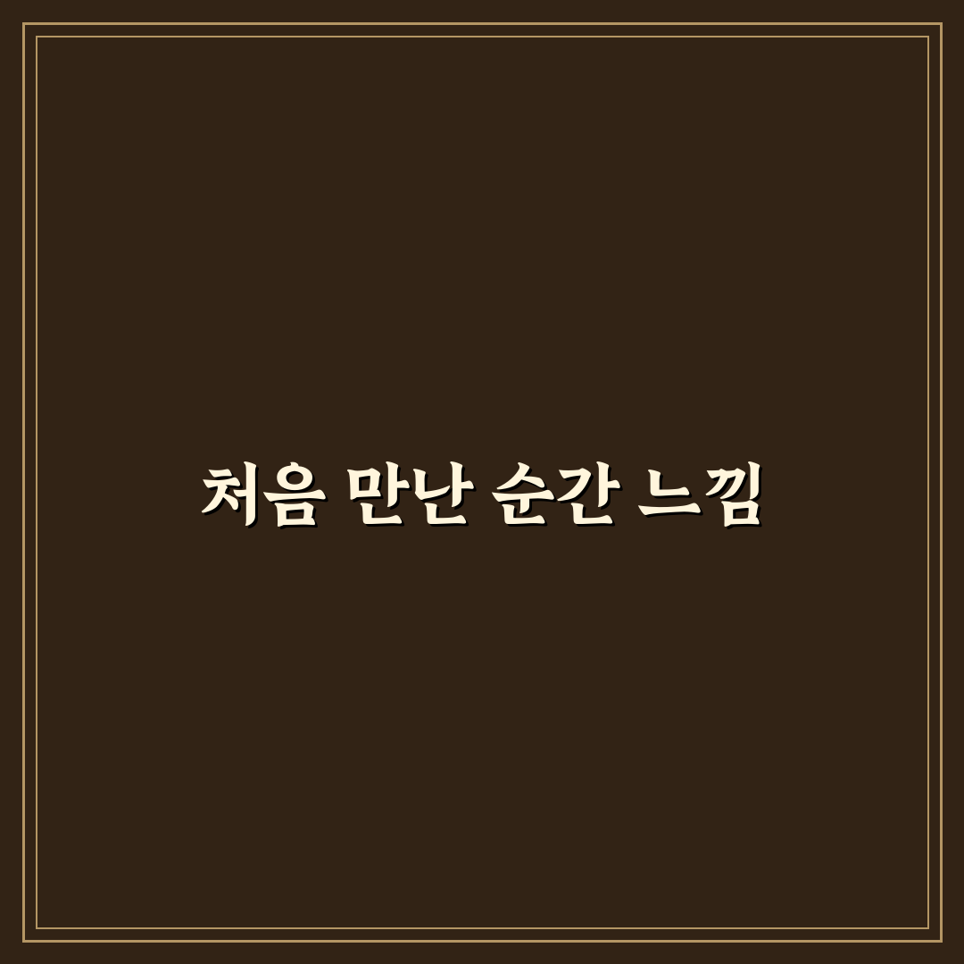 마감 기한 관리 앱 추천 직접 써본 후기와 기능 비교
