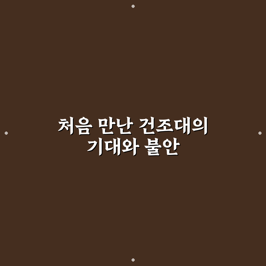 빨래 건조대 활용 팁과 직접 써본 후기 공유하기