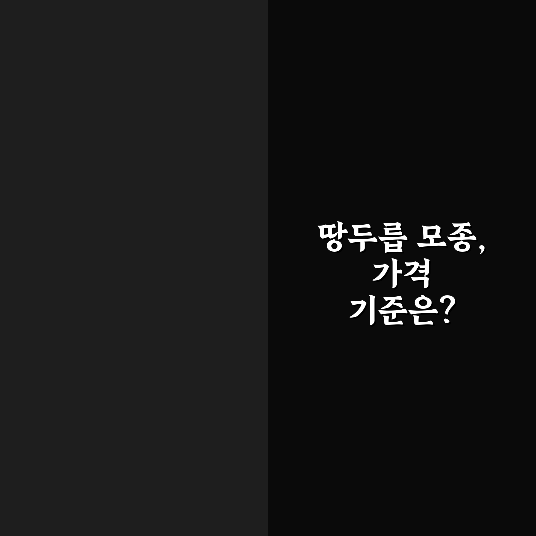 땅두릅 모종 가격 비교와 구매 가이드 총정리