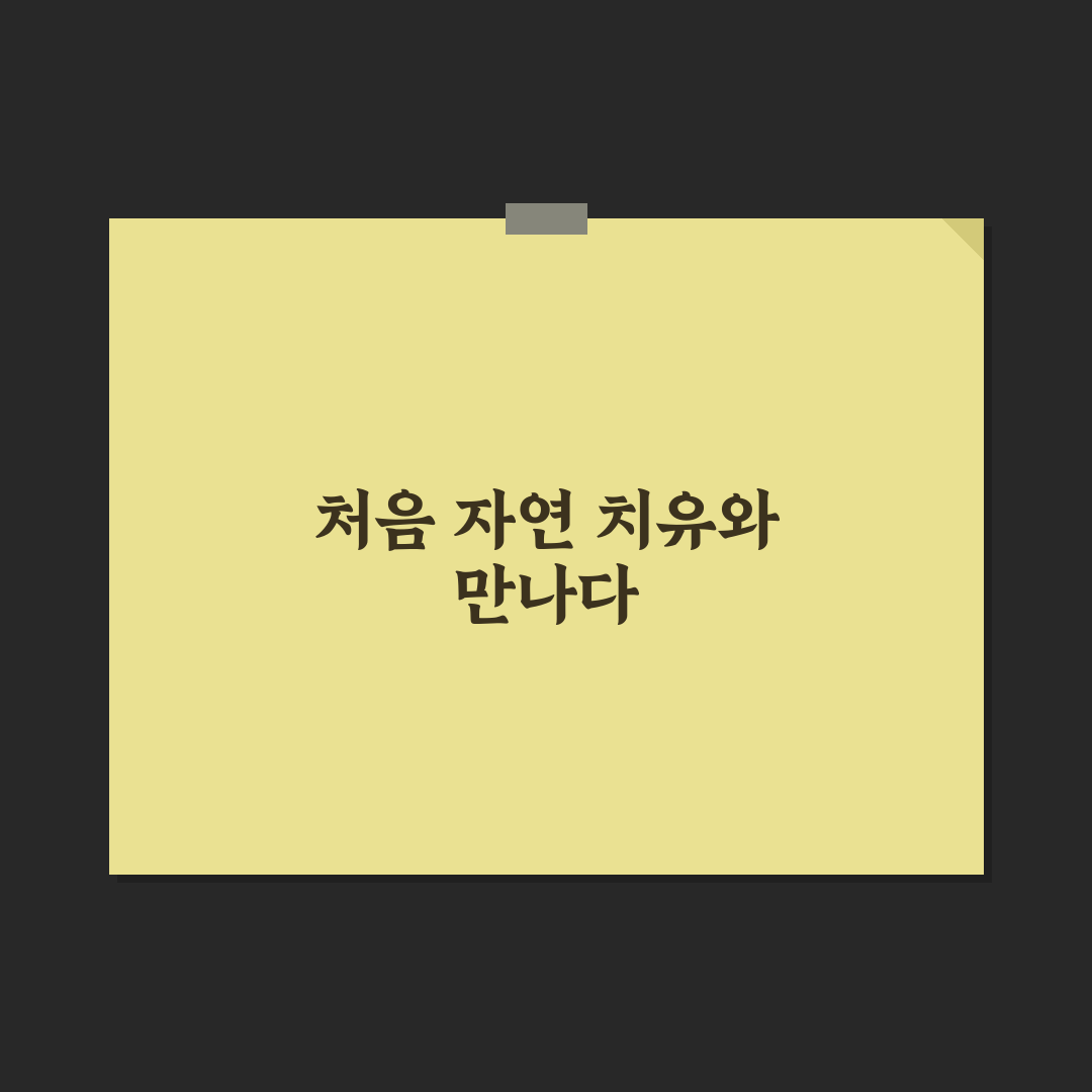 수면 장애 극복 자연 치유법 직접 써본 솔직후기