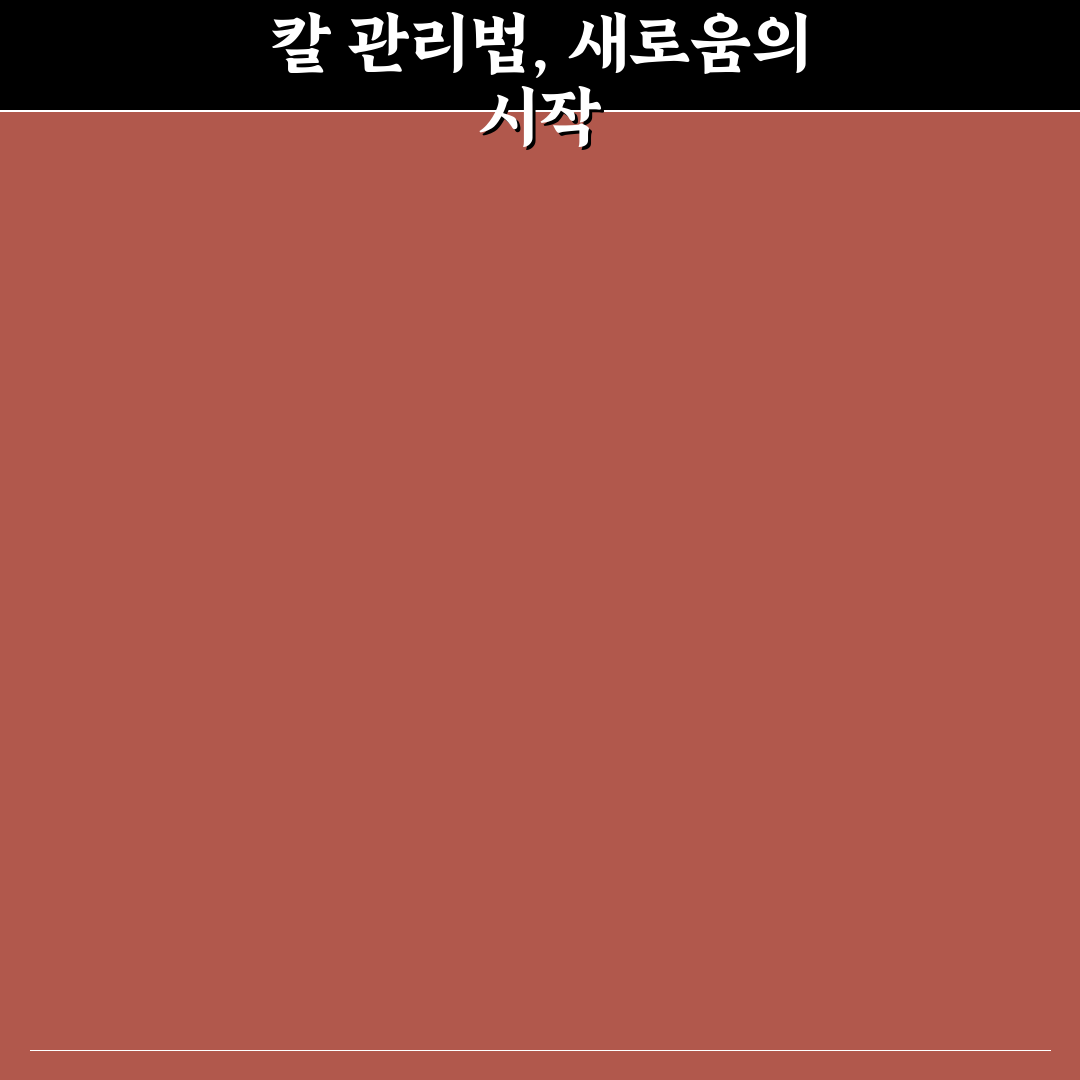 주방 칼 녹 제거 및 방지 직접 써본 후기와 팁