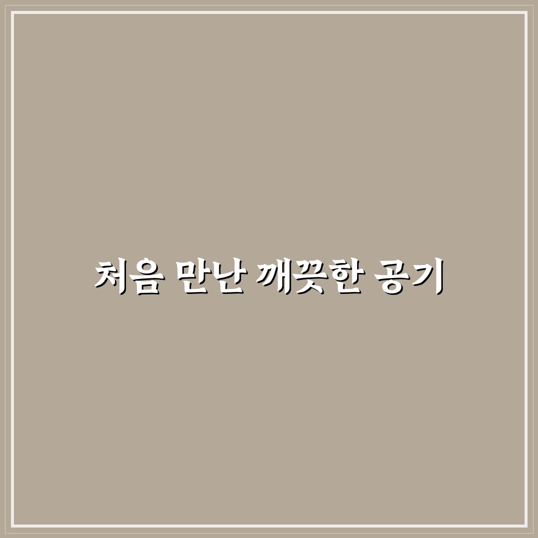 집안 구석구석 미세먼지 청소법 직접 써본 후기