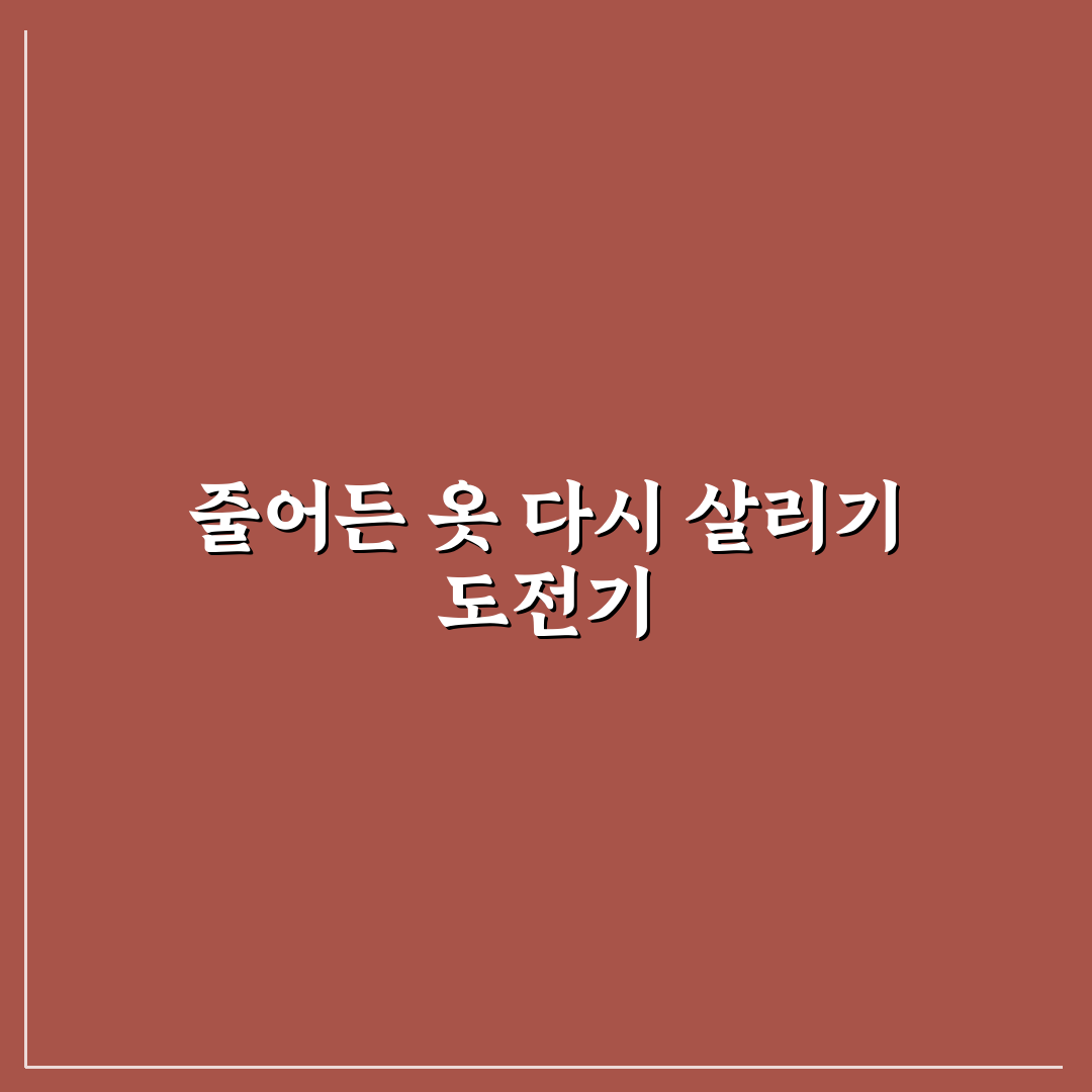세탁물 줄어들었을 때 복원 직접 써본 후기와 꿀팁