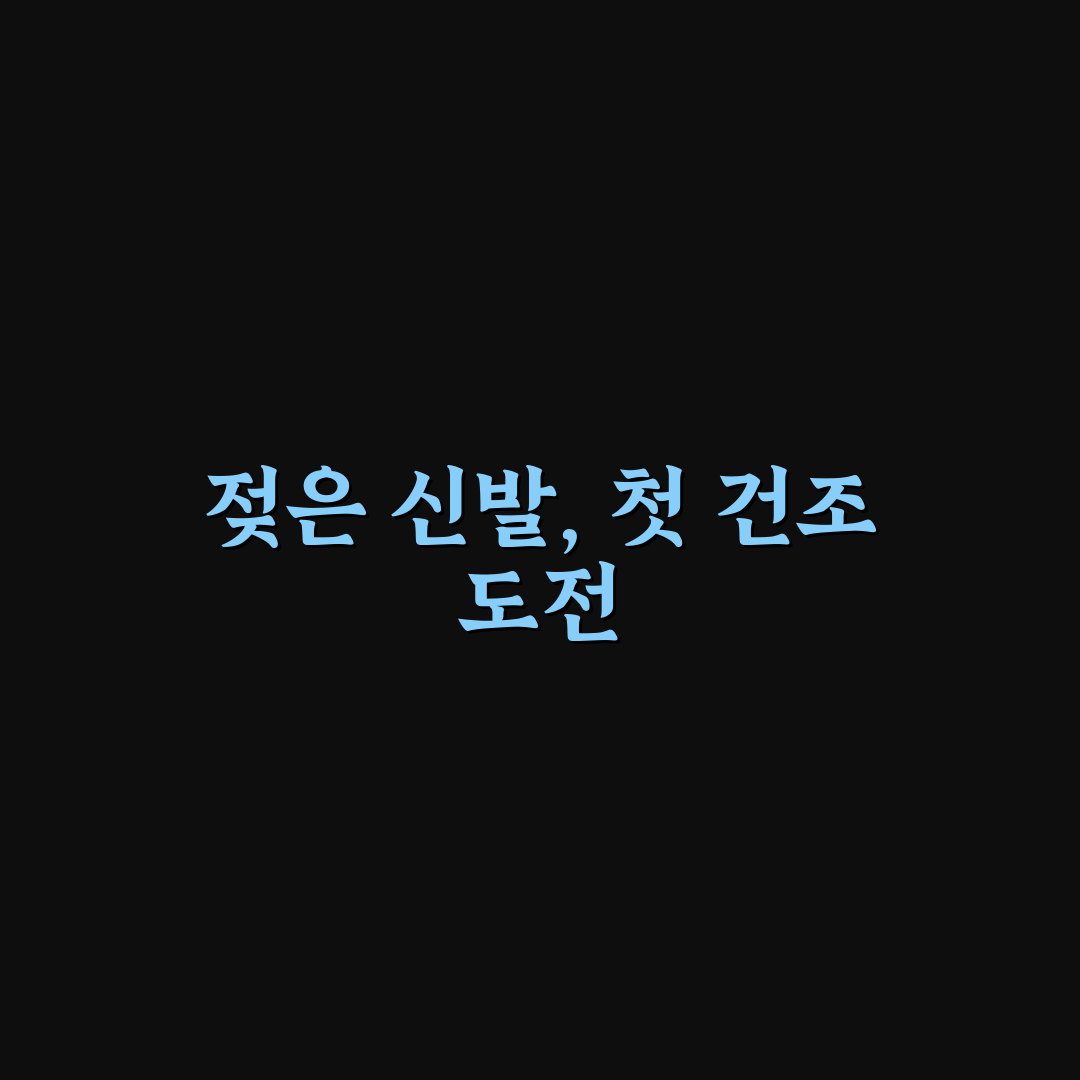 비 오는 날 신발 젖었을 때 건조 방법 직접 써본 후기