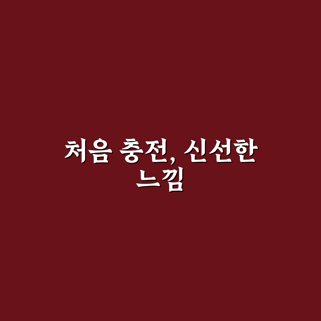 디지털 기기 올바른 충전 습관 직접 써본 후기와 팁