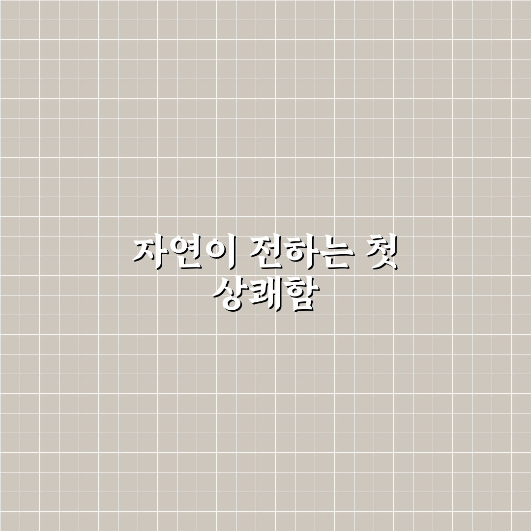 집안 냄새 제거 천연 방법 직접 써본 후기와 효과 분석