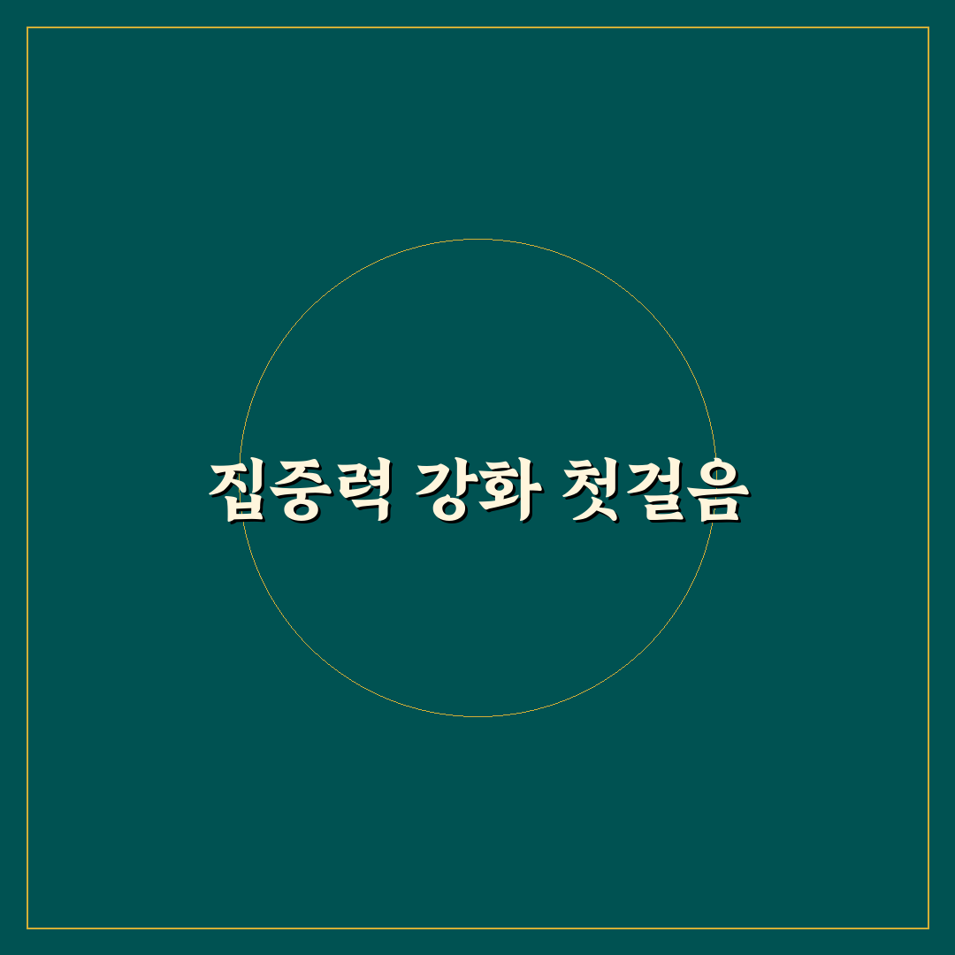 몰입도 높은 작업 환경 조성을 위한 직접 써본 후기