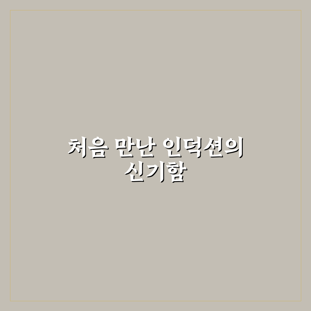 인덕션 에러 코드 해결 방법 직접 써본 후기와 팁