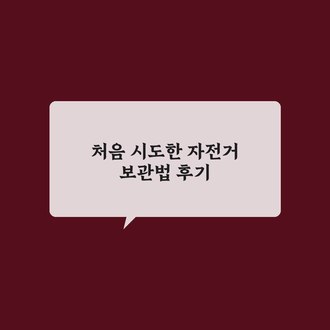 도난 방지 자전거 보관법 솔직후기와 효과적인 팁