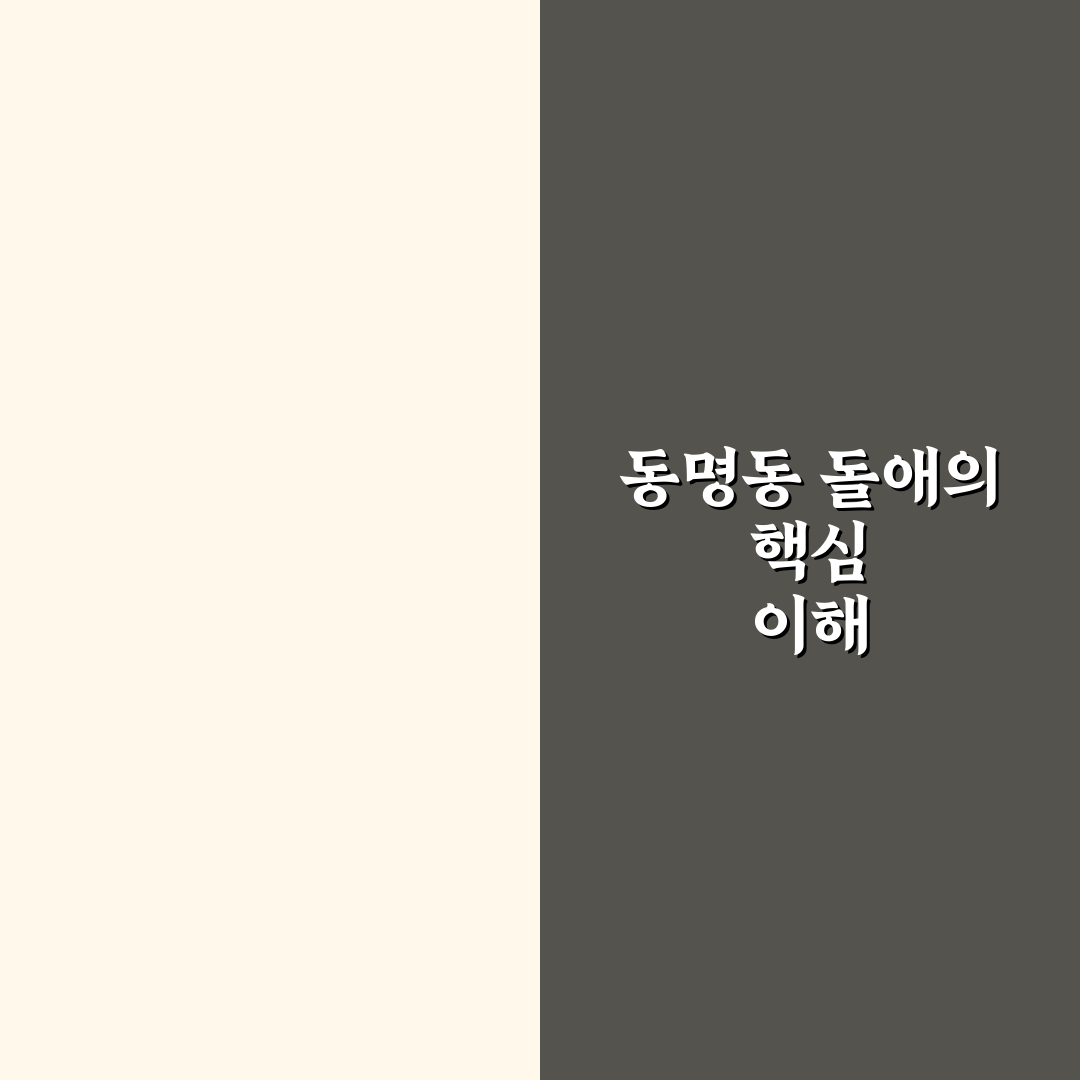 동명동 돌애 방문 전 꼭 알아야 할 5가지 기준 분석