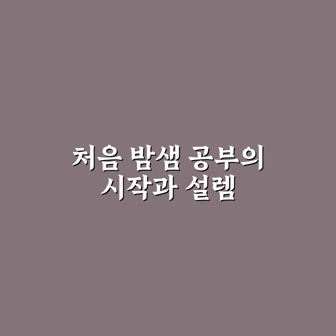 밤샘 공부 효율적으로 하는 법, 직접 써본 후기