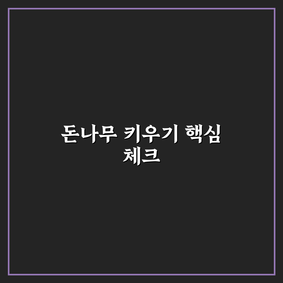 토스 돈나무 키우기 5가지 기준과 관리 체크포인트 총정리