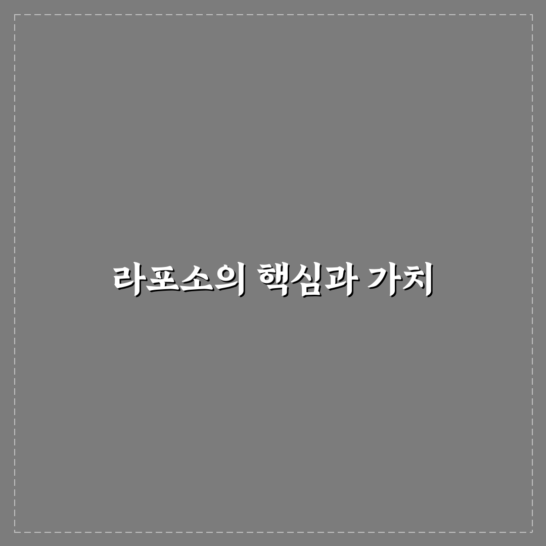 라포소 비교와 분석을 통한 5가지 선택 기준 총정리