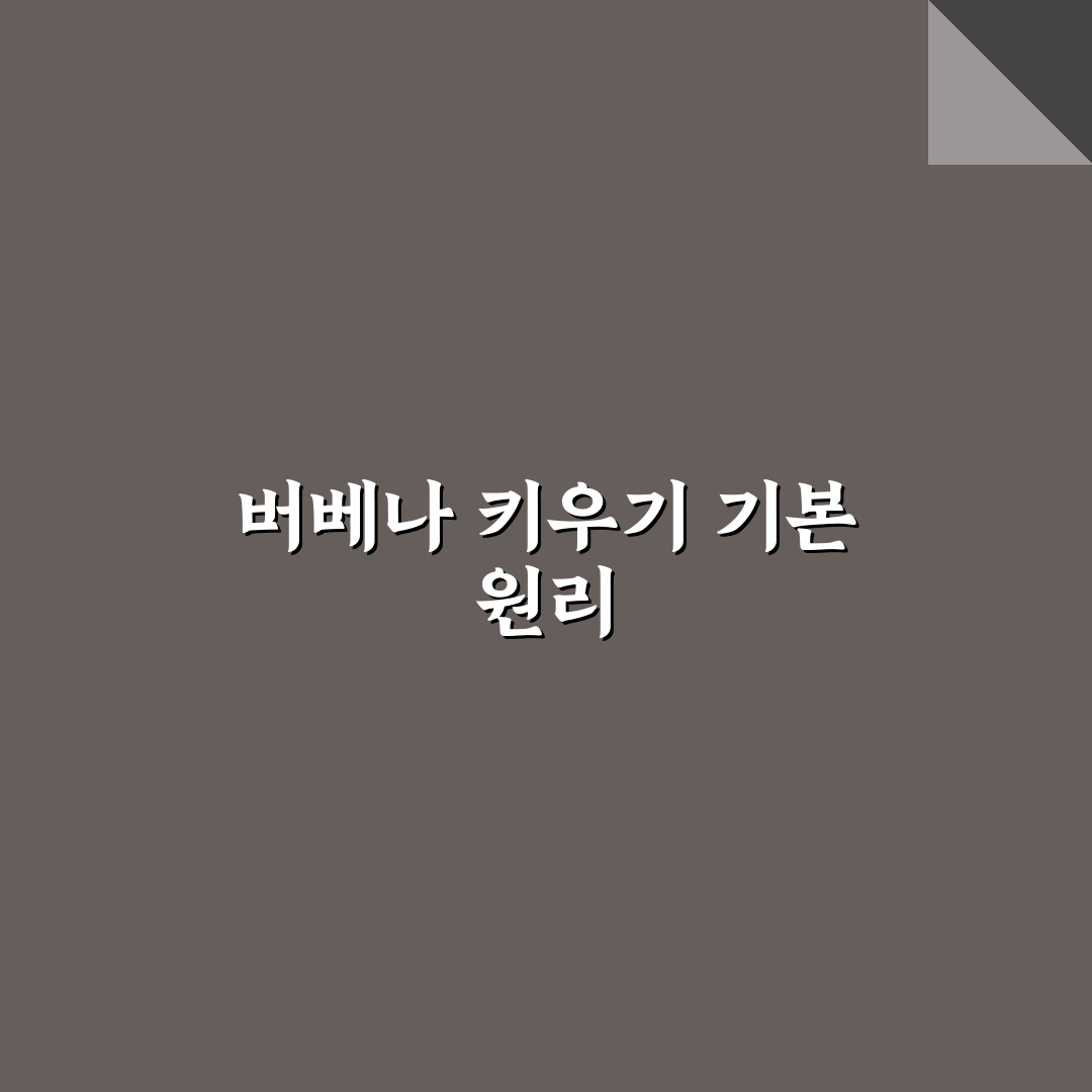 버베나 꽃 키우는법 5가지 기준과 관리 체크포인트