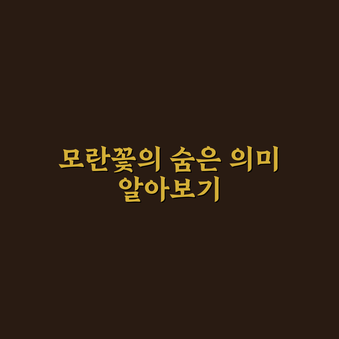 모란꽃 꽃말 의미와 상황별 표현 기준 5가지 분석