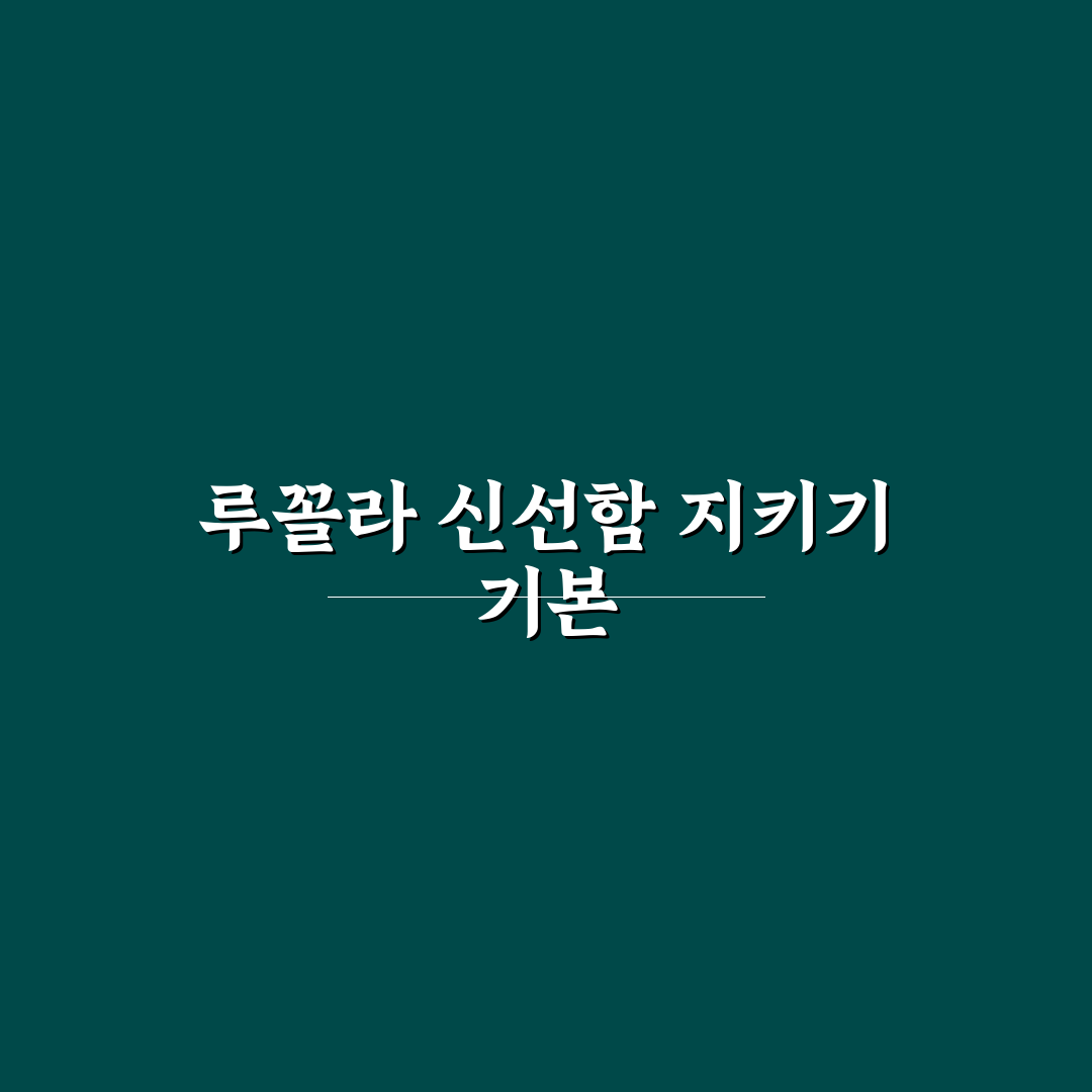 루꼴라 보관법 5가지 기준과 신선도 유지 가이드