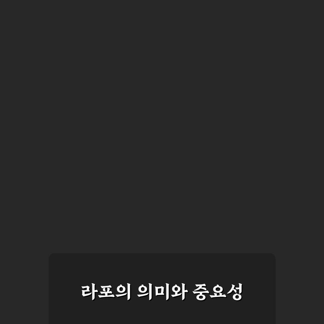 라포슈 사용법과 효과 꿀팁 알려드려요