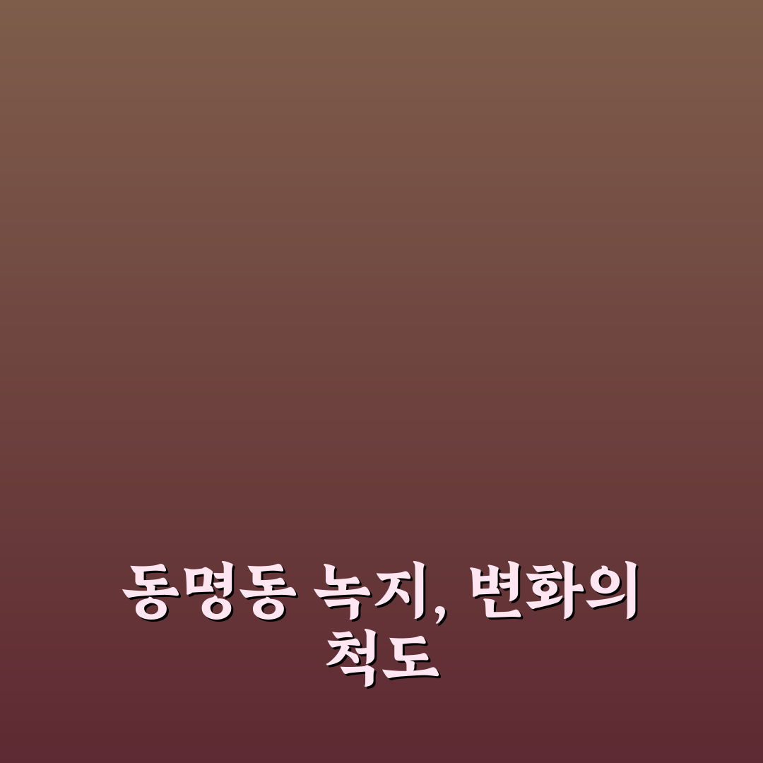 동명동 녹지 공간별 활용도와 유지 관리 비교 분석 가이드