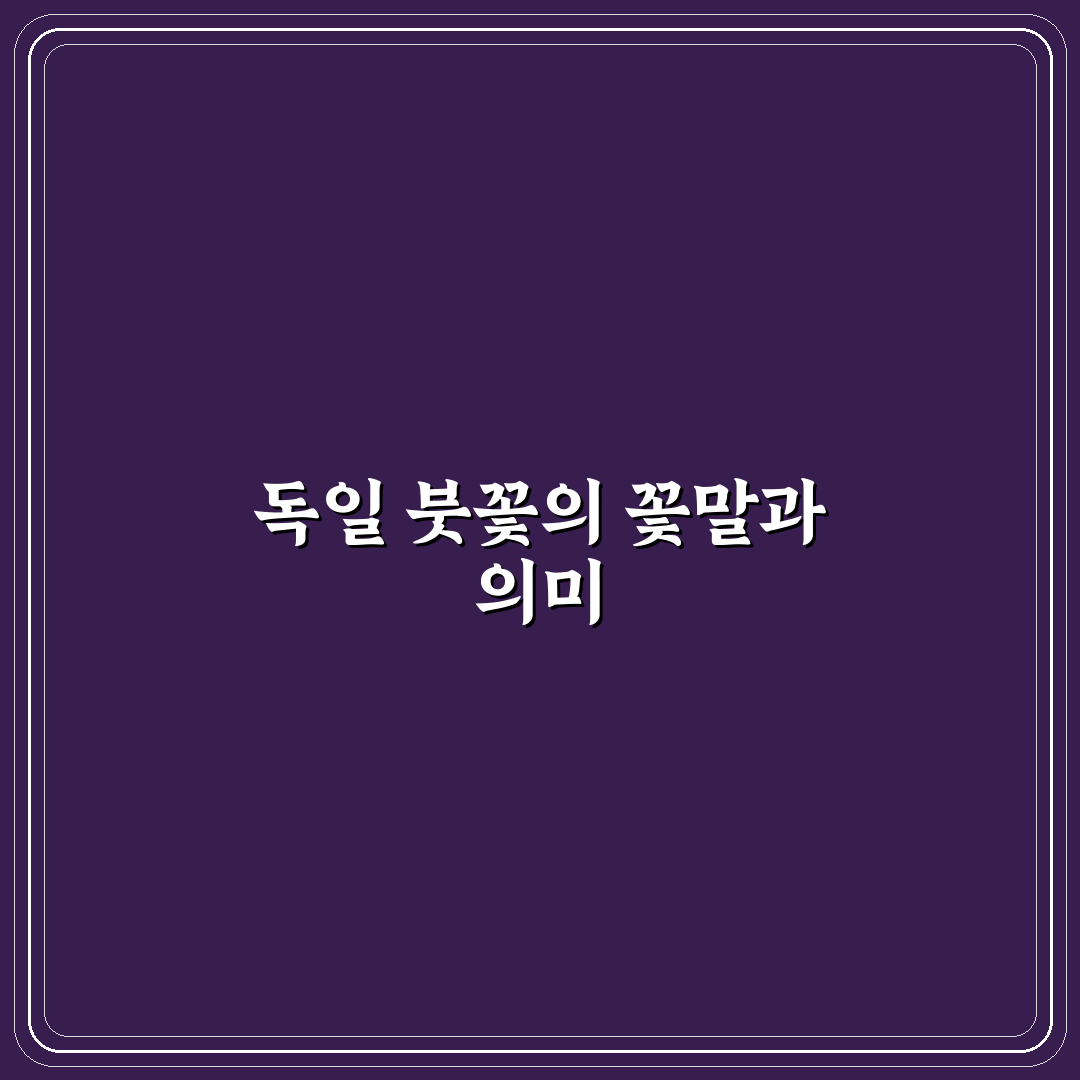 독일 붓꽃 꽃말과 의미 쉽게 정리해드려요