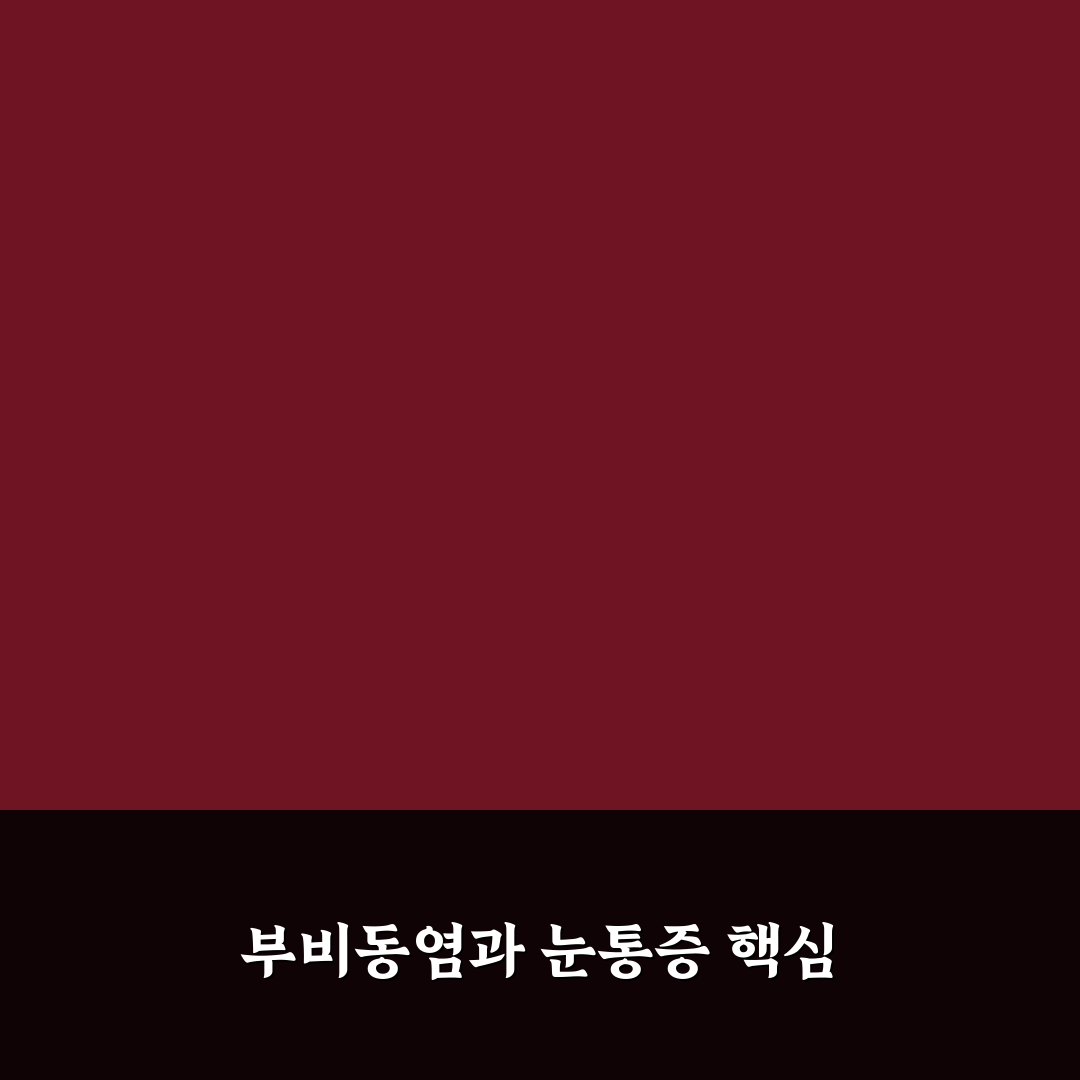 부비동염 눈통증 원인과 증상별 대응 가이드 총정리