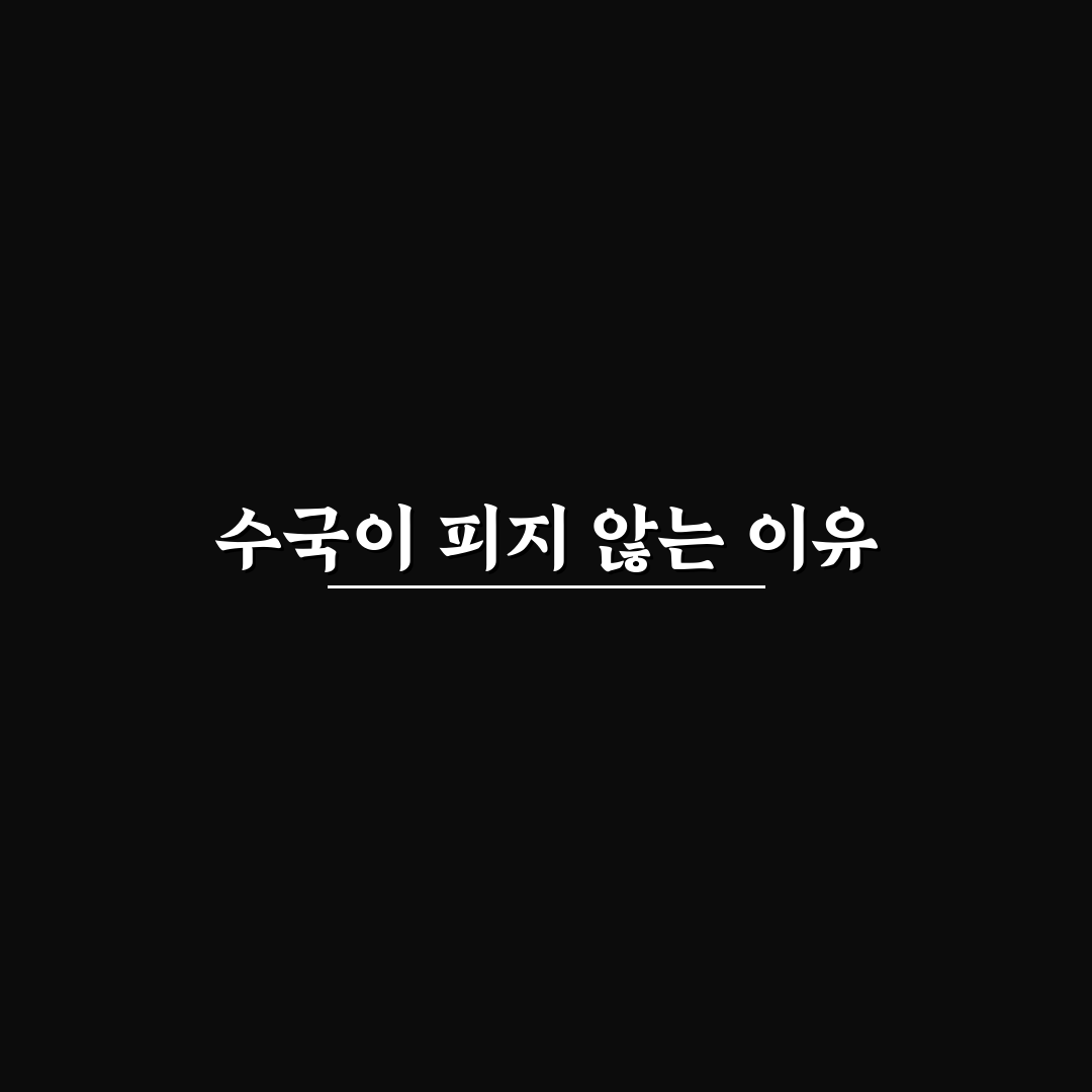수국 꽃이 안 펴요 해결 방법과 꿀팁 알려드려요