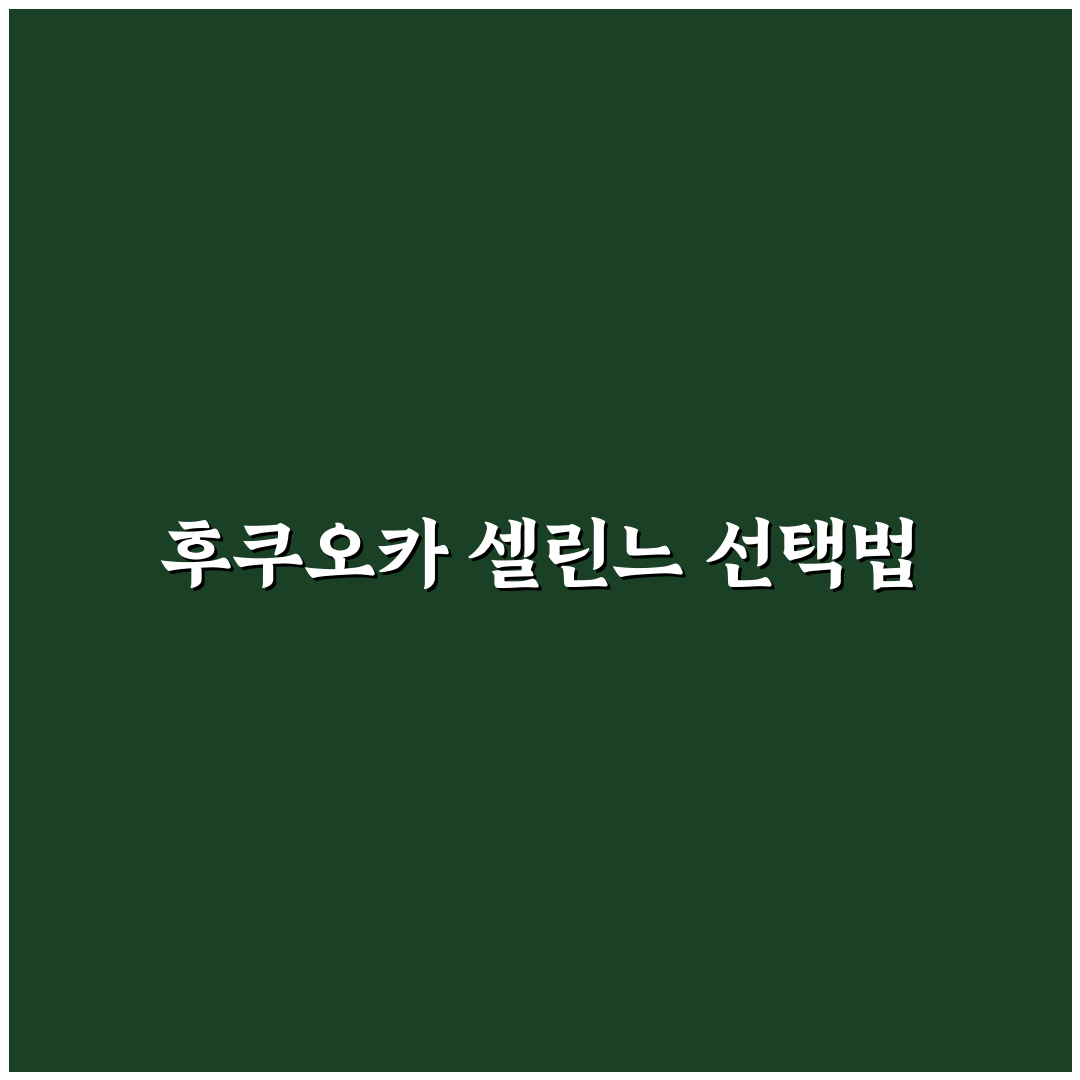 후쿠오카 셀린느 가방 구매 전 비교와 5가지 체크포인트