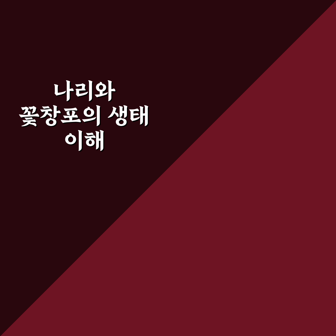 나리와꽃창포 키우기 방법과 관리 꿀팁 알려드려요