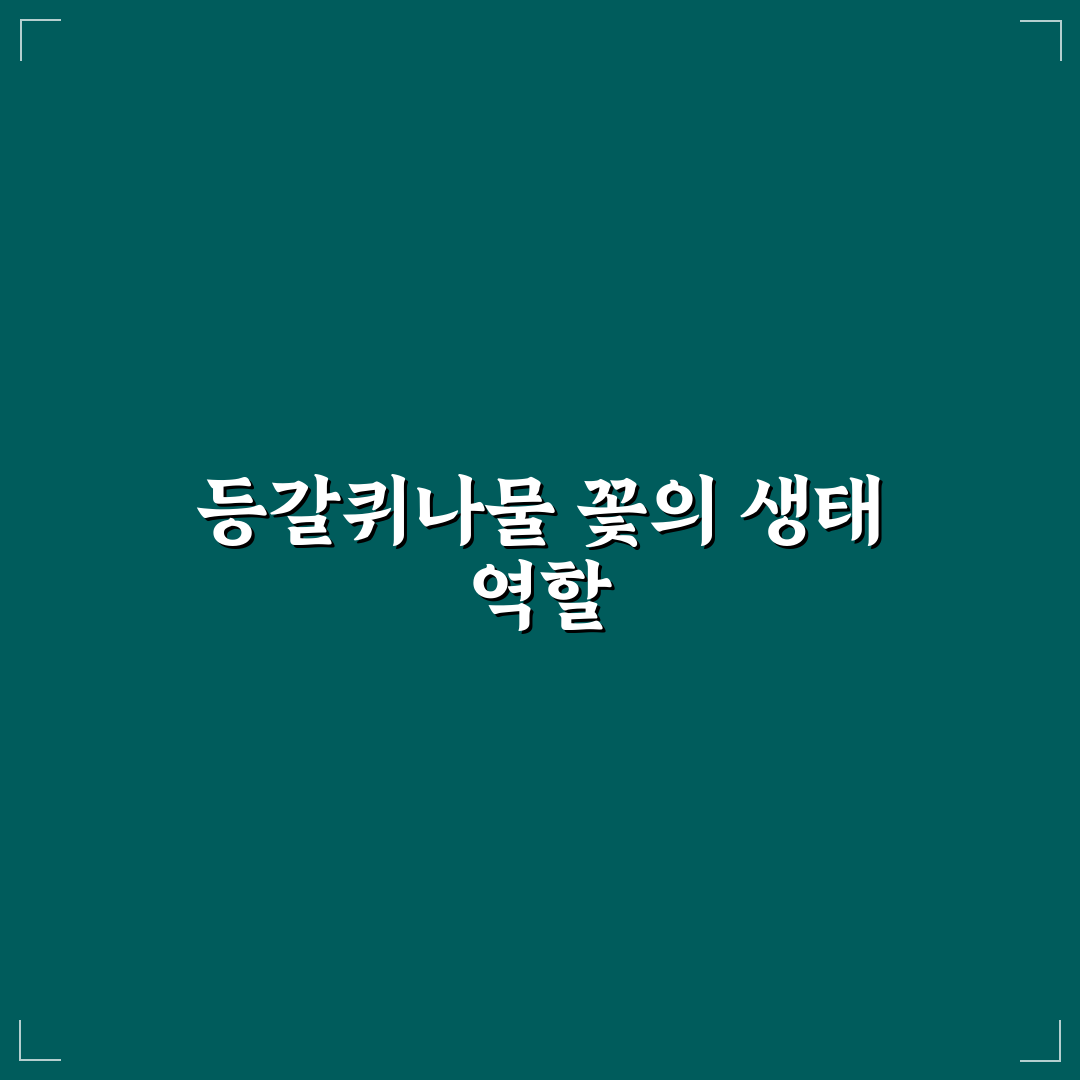 등갈퀴나물 꽃 특징과 관리법 꿀팁 알려드려요