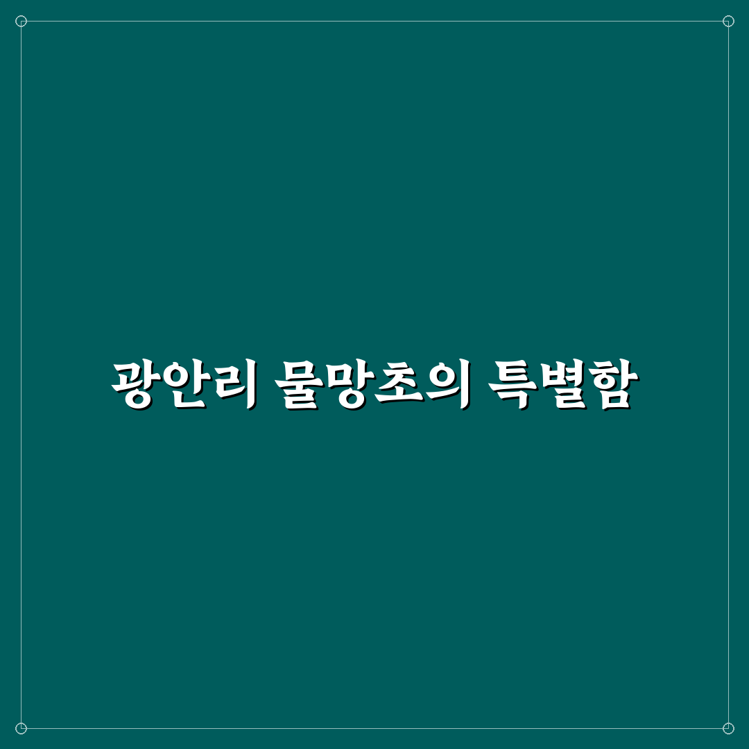 물망초 광안리 방문 전 알아두면 좋은 팁 정리